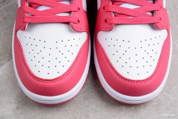 DD1503-111 Low Nike Pink” SB “Archeo Dunk 0131